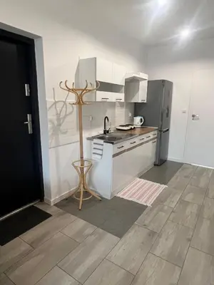 Kuchnia lub aneks kuchenny w obiekcie Apartament LEXY