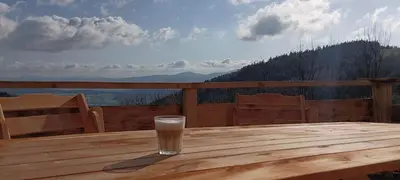 Przyroda w pobliżu tego domu w stylu alpejskim