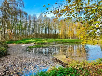 Przyroda w pobliżu tego domu wakacyjnego