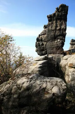 Przyroda w pobliżu tego gospodarstwa agroturystycznego