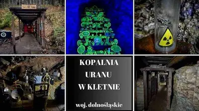Plan piętra w obiekcie Willa Sowia nowe apartamenty z zachwycającym widokiem na góry i potok