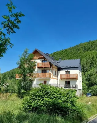 Przyroda w pobliżu tego apartamentu