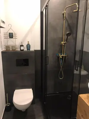 Łazienka w obiekcie Stylowy apartament w centrum