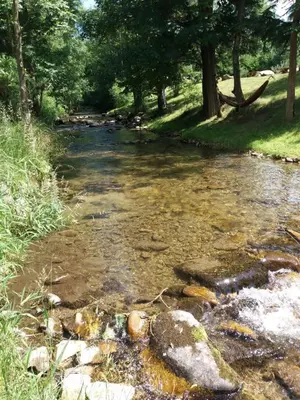 Przyroda w pobliżu tego domu wakacyjnego