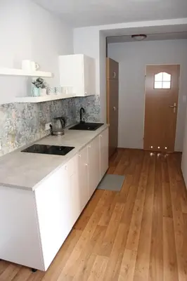 Kuchnia lub aneks kuchenny w obiekcie Apartamenty AGAT