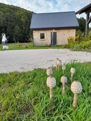 Przyroda w pobliżu tego domu w stylu alpejskim