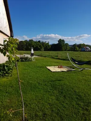 Przyroda w pobliżu tego domu w stylu alpejskim
