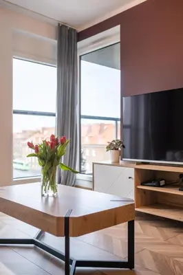 Telewizja i/lub zestaw kina domowego w obiekcie LOTTE Apartment - parking podziemny, osiedle strzeżone