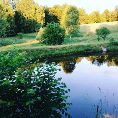 Przyroda w pobliżu tego domu wakacyjnego