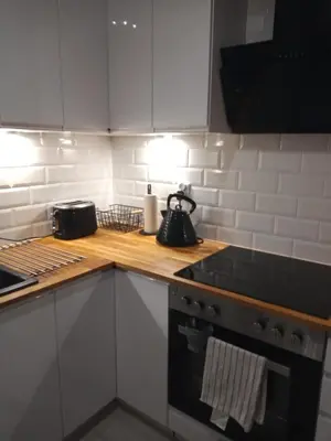 Kuchnia lub aneks kuchenny w obiekcie Apartament w Starym Mlynie Loft Różanka
