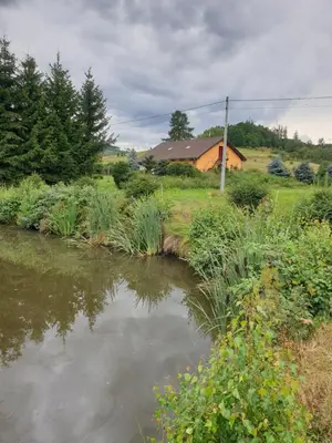 Przyroda w pobliżu of this country house