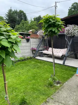 Ogród w obiekcie Apartament u Danusi