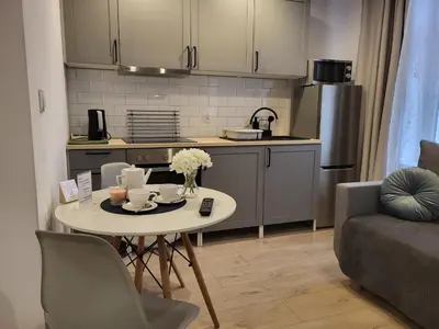 Kuchnia lub aneks kuchenny w obiekcie Apartamenty - Studio Gliwice II