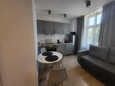 Kuchnia lub aneks kuchenny w obiekcie Apartamenty - Studio Gliwice II