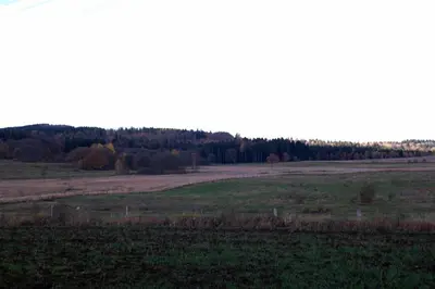 Przyroda w pobliżu tego apartamentu