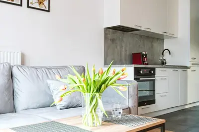 Kuchnia lub aneks kuchenny w obiekcie Symphony City Square Aparthotel