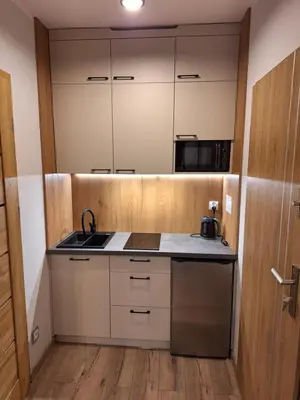 Kuchnia lub aneks kuchenny w obiekcie Apartamenty Dębowy Zakątek w Dolinie Baryczy