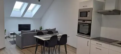Kuchnia lub aneks kuchenny w obiekcie Apartament przy Małej Panwi 