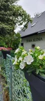 Ogród w obiekcie Stara Kuźnia