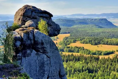 Przyroda w pobliżu tej kwatery prywatnej