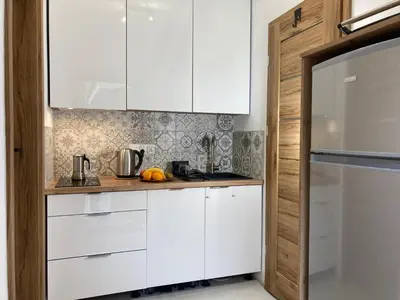 Kuchnia lub aneks kuchenny w obiekcie nowy Apartament z tarasem i samodzielnym wejściem - Willa Sowia