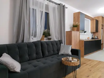 Kuchnia lub aneks kuchenny w obiekcie nowy Apartament Willa Sowia z widokiem na Śnieżnik