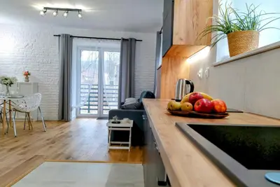 Kuchnia lub aneks kuchenny w obiekcie nowy Rustykalny apartament z tarasem - Willa Sowia