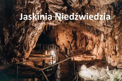 Przyroda w pobliżu tego apartamentu