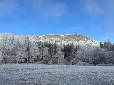 Przyroda w pobliżu tego pensjonatu