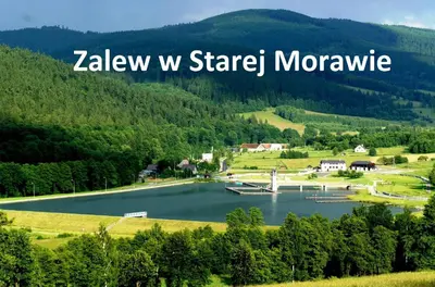 Przyroda w pobliżu tego apartamentu