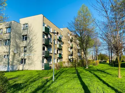 Ogród w obiekcie Apartament pod Złotą Małpą