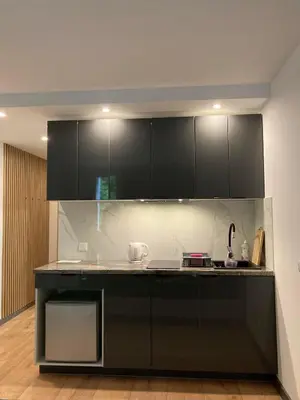 Kuchnia lub aneks kuchenny w obiekcie Apartament 221 przy Niedźwiadku
