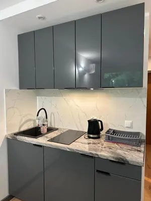 Kuchnia lub aneks kuchenny w obiekcie Apartament 220 na Park Leśny