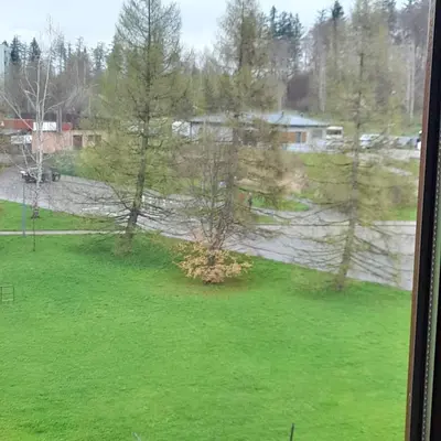 Przyroda w pobliżu tego apartamentu