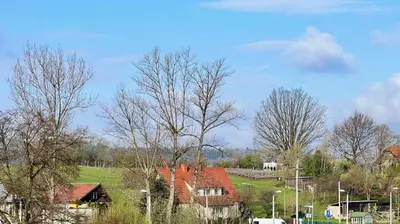 Przyroda w pobliżu tego apartamentu