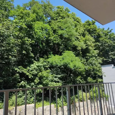 Ogród w obiekcie Apartament Świdnica