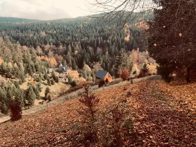 Przyroda w pobliżu tego domu w stylu alpejskim