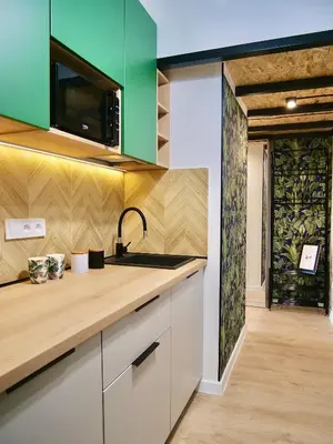 Kuchnia lub aneks kuchenny w obiekcie Loft Apartments Gliwice