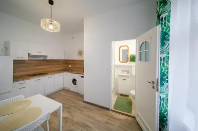 Kuchnia lub aneks kuchenny w obiekcie Jungle Vision Apartment - Rynek