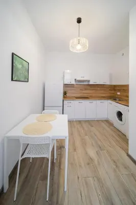 Kuchnia lub aneks kuchenny w obiekcie Jungle Vision Apartment - Rynek