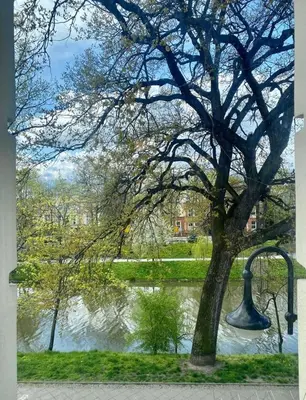 Widok na rzekę nieopodal tego apartamentu